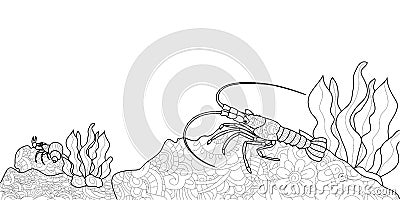 Anti stress coloring book for adults. Crustacean on the bottom of the river. Cancer or shrimp. Crawfish Black lines Vector Illustration