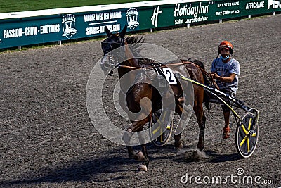 Antibes, France. 17.08.2020 Horses trotter breed in motion on hippodrome. Harness horse racing. Editorial Stock Photo