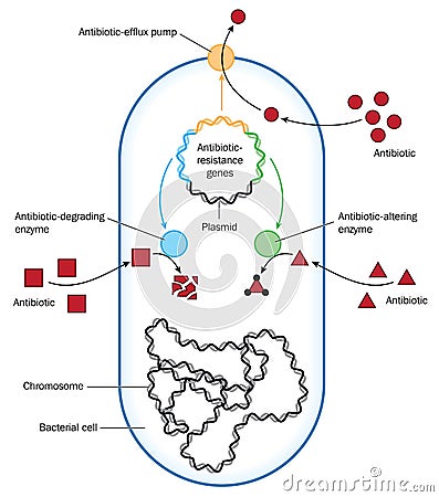 Antibiotic resistance Vector Illustration