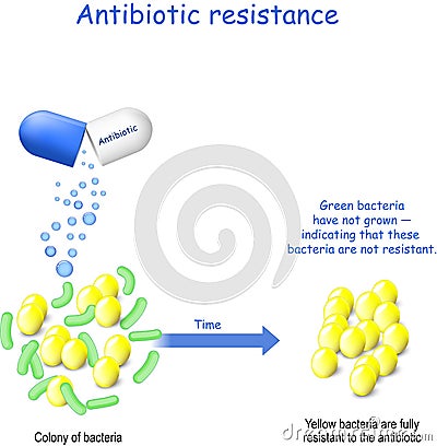 Antibiotic resistance. Colony of bacteria and capsule with antibiotic Vector Illustration