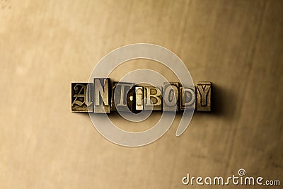 ANTIBODY - close-up of grungy vintage typeset word on metal backdrop Stock Photo
