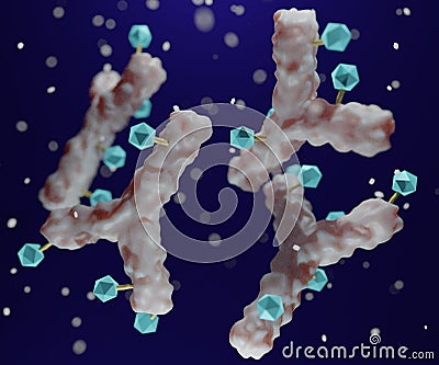 Antibody drug conjugated with cytotoxic payload Stock Photo