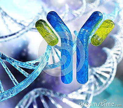 Antibody, immunoglobulins Stock Photo