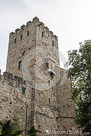 Antic castle with trees in Poland Stock Photo