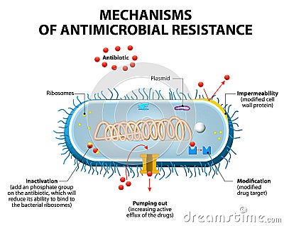 Antimicrobial resistance Vector Illustration