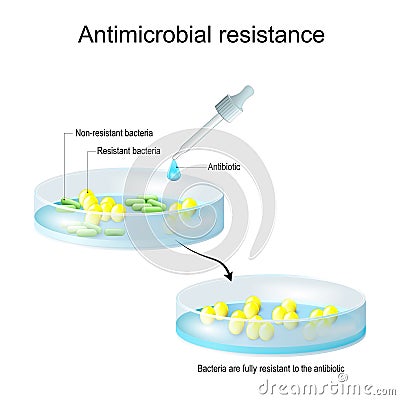 Antimicrobial resistance. Pipette with drop of antibiotic, and petri dish with colony of bacteria Vector Illustration