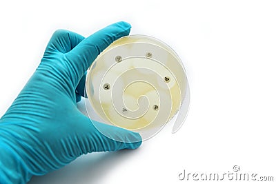 Antimicrobial susceptibility test Stock Photo