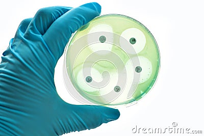 Antimicrobial susceptibility testing Stock Photo