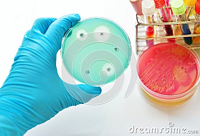 Antimicrobial susceptibility testing Stock Photo