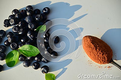 Antioxidant rich Blueberry Powder made freeze dried super food and hand picked wild Nordic berry dry blueberry powder Stock Photo