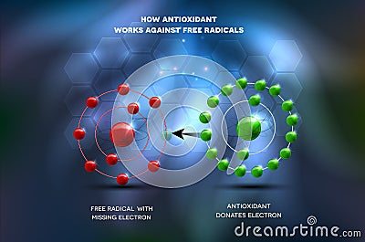 Antioxidant works against free radical Vector Illustration