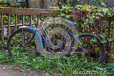 Blue and Purple Antique Bicycle Editorial Stock Photo