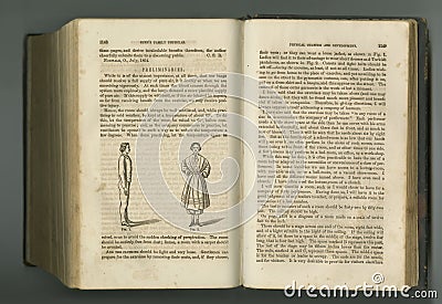 Antique book, page and ancient knowledge for learning study, medical research or vintage story. Language, history Editorial Stock Photo