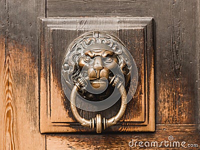 Antique brass door knocker in the shape of a lion`s head, detail of wooden door Stock Photo