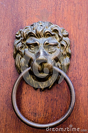 Antique brass door knocker in the shape of a lion`s head., door element with metal lion Stock Photo