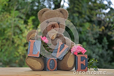 Antique brown teddy bear and a white bear sitting with Love stones and pink roses Stock Photo