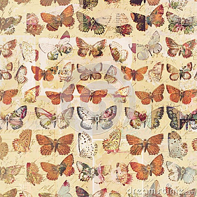 Antique butterflies grungy shabby chic pattern botanical background Stock Photo