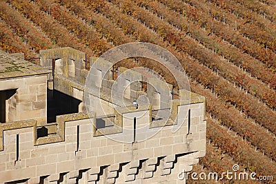 Antique castle battlement and vineyard in Olite, Navarra. Spain Stock Photo