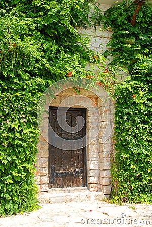 Antique door and vines Stock Photo