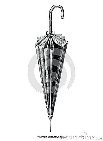 Antique engraving vintage illustration style of Umbrella black and white clip art isolated on white background Vector Illustration