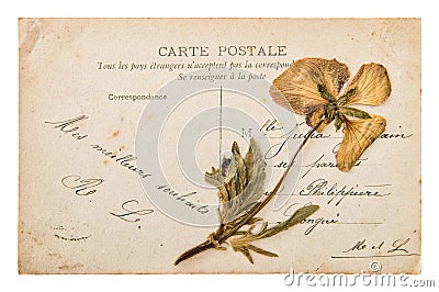 Antique french handwritten postcard with dry pansy flower Stock Photo