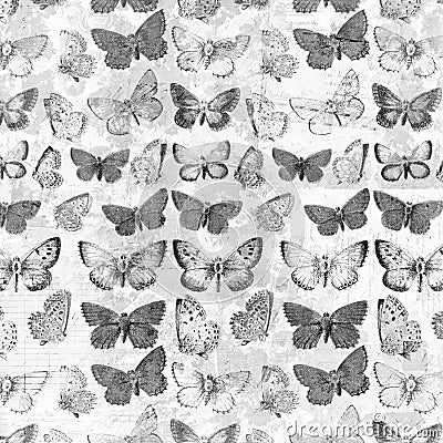 Antique grungy butterflies over french invoice collage background desaturated Stock Photo