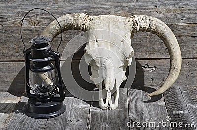 Antique lantern and bull skull Stock Photo