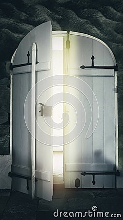 Antique large white wooden castle door Stock Photo