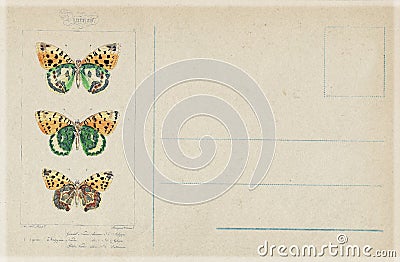 Antique vintage style botanical butterfly postcard Stock Photo