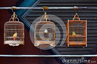 Antique wooden bird cages Stock Photo