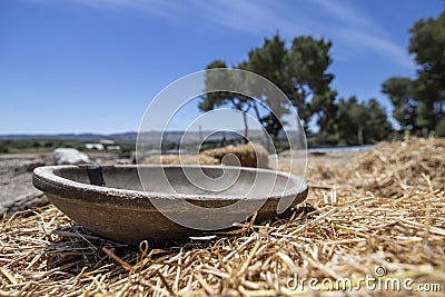 Antique wooden bowl lying on golden straw in the ancient city of Zipori. Israel. Stock Photo