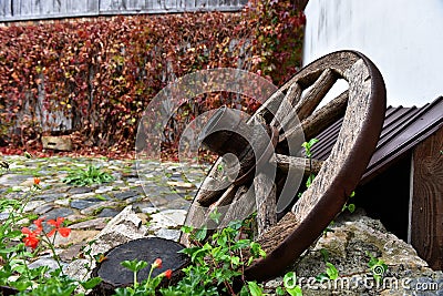 Antique wooden wheel covered with green ivy Stock Photo