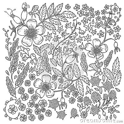 Antistress coloring page for adults Vector Illustration