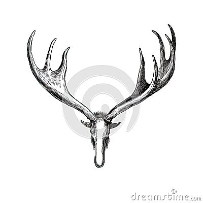antler moose horn ai generated Cartoon Illustration