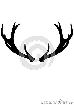 The antlers from the deer Stock Photo