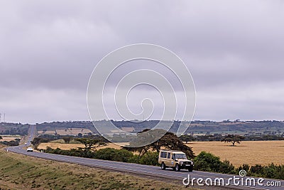 Landcruiser Vehicle Moving along Ntulele Highway in Narok County Engulfed Wheat Farm Plantations Editorial Stock Photo