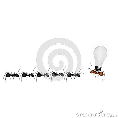 Ants, business team Stock Photo