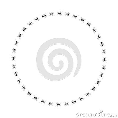 Ants circle frame. Path ants on circle Vector Illustration