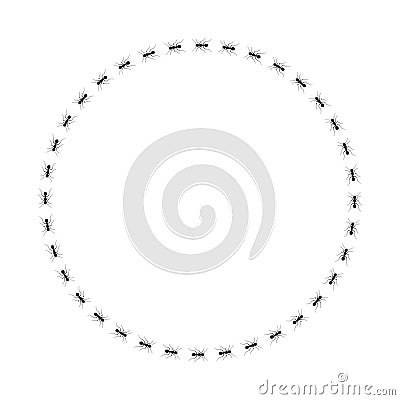 Ants circle frame. Path ants on circle Vector Illustration