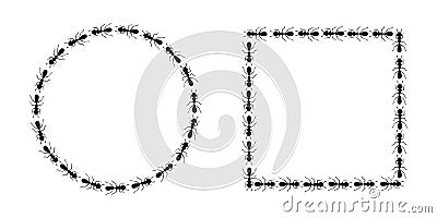 Ants circle and square borders. Ants forming round and rectangular shapes isolated in white background. Vector Vector Illustration