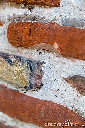 Ants forming a column on a brick wall Stock Photo