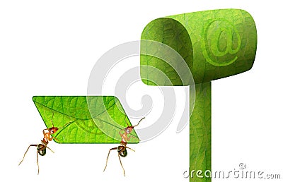 Ants incoming mail Stock Photo