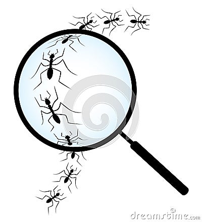 Ants lens Vector Illustration