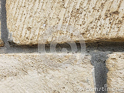 Ants marching on a brick wall Stock Photo