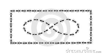 Ants path shaping infinity sign and square boder. Ant trail isolated in white background. Vector illustration Vector Illustration