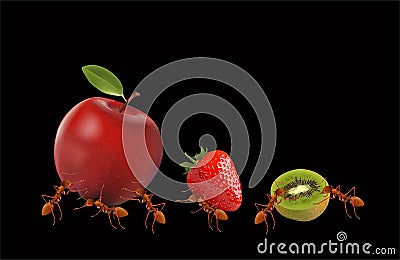 The Ants powerful carrying apple, strawberry and kiwi Vector Illustration