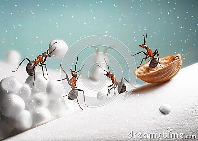 Ants ride sledge and play snowballs on Christmas Stock Photo