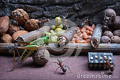 Ants teach grasshopper to work , ant tales Stock Photo