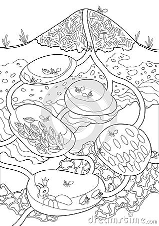 Ants in their nest in coloring style. Anthill in section under ground. Termite nests with labyrinths. House forest Vector Illustration