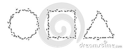 Ants trail circle square triangle frame, line of working ants on white background. Groups of insect marching or walking Vector Illustration